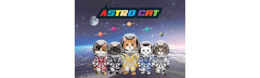 *新品上架* Astro Cat 貓貓肉絲湯罐(全年齡)